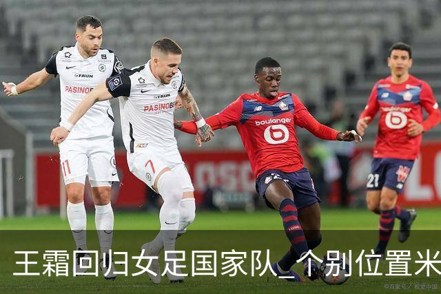 王霜回归女足国家队 个别位置米利西奇仍在考察